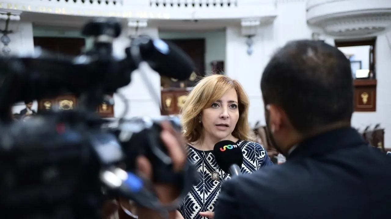 La senadora Guadalupe Chavira pidió aclarar el alcance de los cambios catastrales y del proyecto metropolitano. Retrato de archivo.